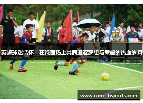 英超球迷情怀：在绿茵场上共同追逐梦想与荣耀的热血岁月