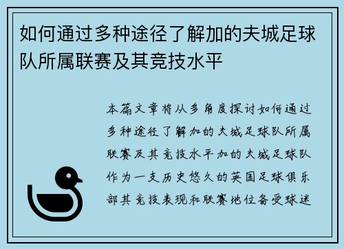 如何通过多种途径了解加的夫城足球队所属联赛及其竞技水平 如何通过多种途径了解加的夫城足球队所属联赛及其竞技水平